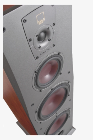 Dali Concept - Acoustics