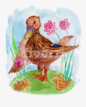 Illustration