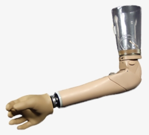 Orthotics & Prosthetics,