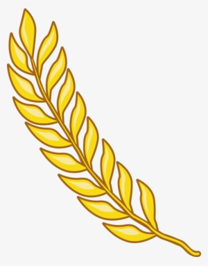 Rice Paddy Field Cereal Grain Download Free Commercial - Paddy Png