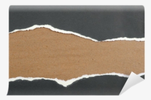 Paper