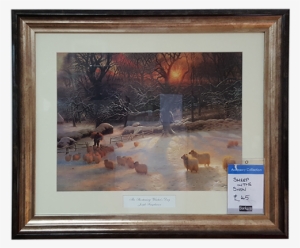 Sheep In The Snow Sheep In The Snow