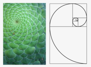 Intuition For The Golden Ratio Betterexplained - Golden Ratio