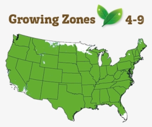 Shipping Restriction - If Us Land Was Divided Like Us Wealth