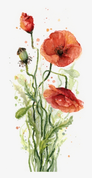 Click And Drag To Re-position The Image, If Desired - Watercolor Poppy