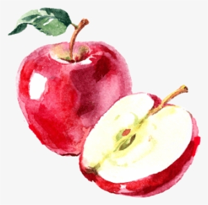 About The Food Access In Michigan Project - Free Watercolor Apple