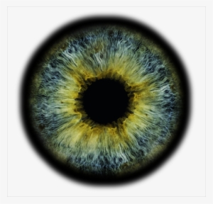 Ophthalmologists In Toronto, Scarborough, & Unionville - Toronto