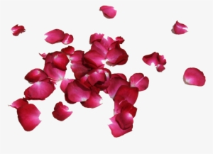Share This Image - Petal