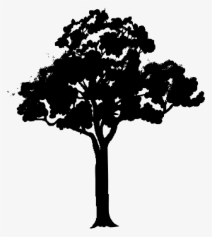 Fresh Gallery Black Tree Vector Png - Cartoon Tree With Branches