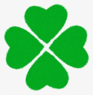 Green Prato Grass - Four-leaf Clover