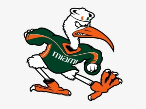 University - University Of Miami Mascot