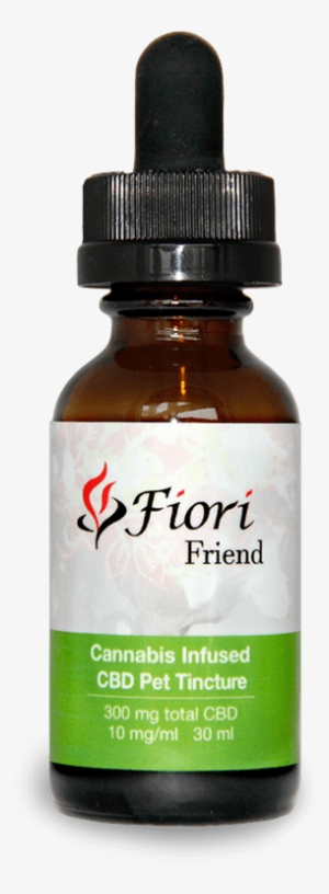 Friend - Fiori Friend