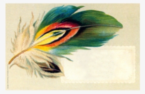 Pheasant Feather Pheasant Feather - Posterazzi Feather Nostalgia Cards Canvas Art - (18