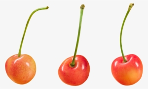 Png Free For Commercial Use