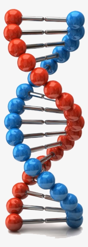 Dna, Forensics, Forensic Science, Cops, Ancestry, Genealogy, - Dna