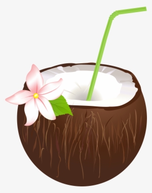 Summer Coconut Drink Png Clip Art Image