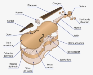 Open - Partes De Un Violín
