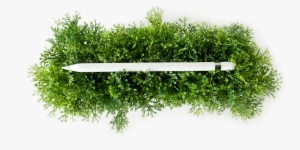 Learn How To Create Realistic Watercolor Pieces All - Watercolor Painting