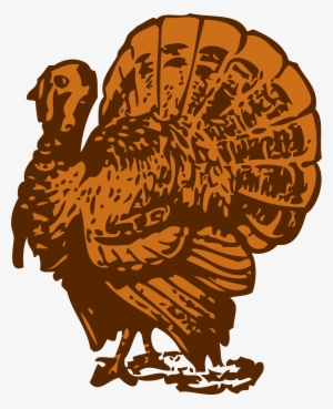 Turkey Png
