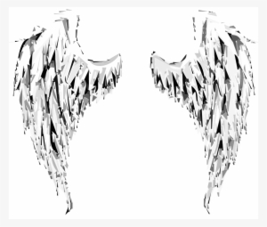 Angel,wings,angel - Alas De Angel Caido