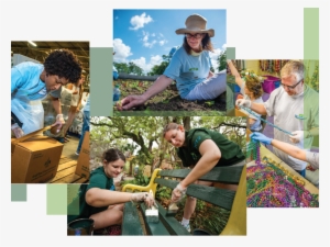 Tulane University Wave Of Green Day Of Service - Green Day