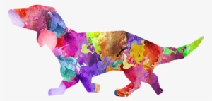 Dog, Painted Dog, Colorful Dog, Puppy - Dog