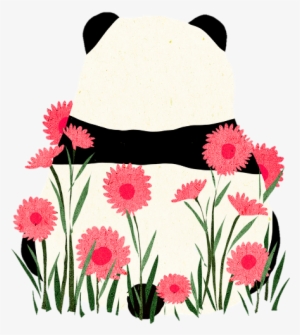 Largest Collection Of Free To Edit Chinese Water Dragon - Fondos De Pantalla Pandas