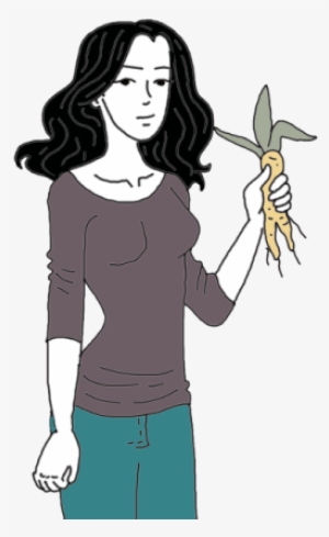 Queen Elizabeth Root, Whole - Illustration