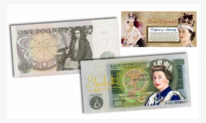 Queen Elizabeth Ii Colorized Bank Of England One Pound - One Pound Note