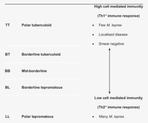 Ridley-jopling Classification Of Leprosy - Ridley Jopling Classification Of Leprosy