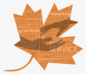 During The 2017 March Break, Three Groups Of Ridley - Service-learning