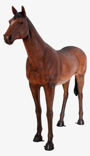 Related Wallpapers - Design Toscano Life-size Quarter Horse Filly Statue