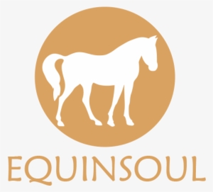 Paseos Por La Playa Y Rutas A Caballo En Zahora, Caños - Los Caños De Meca