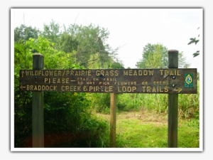 Prairie Grass Meadow Trail - Meadow