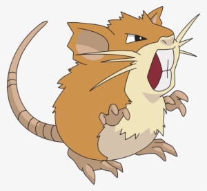 Raticate - Raticate Pokemon - 500x500 PNG Download - PNGkit