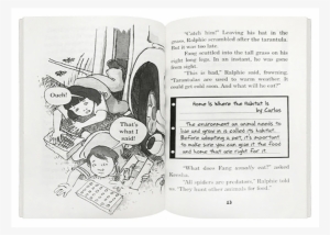 The Magic School Bus Discovery Set 2 - Book