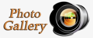 Gallery Png Hd - Ak Photography