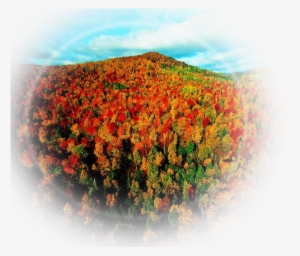 Paisajes Y Flores Png - Die Erde Von Oben 3 [de-version] Dvd