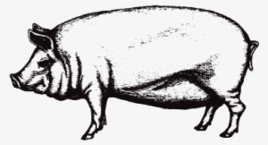 Smoke Out Festival Vip Pass - Drawing