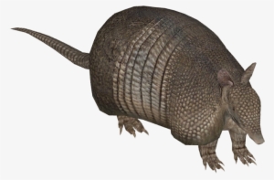 Tamara Henson - Quirquincho Png