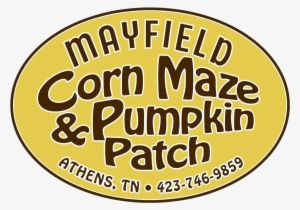 Corn Maze