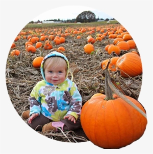 Blonde Cherub Faced Toddler In Floral Hoodie Sits Among - Pumpkin