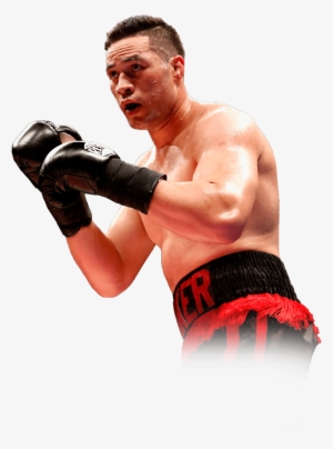 0 - Professional Boxing