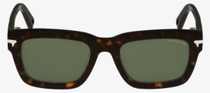 Gs600s Fat Dexter - Carrera 6000 86m