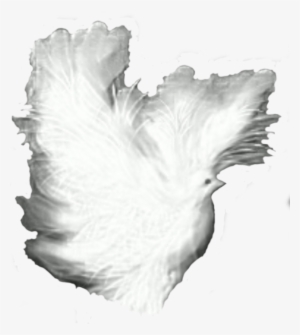 This Free Icons Png Design Of Dove Fantasy White Shadows