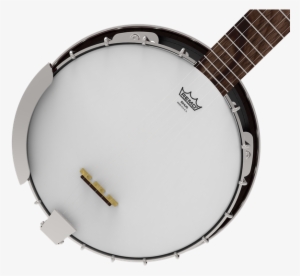Banjo Head Coated Top Image - Remo Banjo