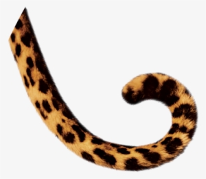 Png Royalty Free Library Tail Png Images Pluspng Filetiger - Animal Tail Clipart