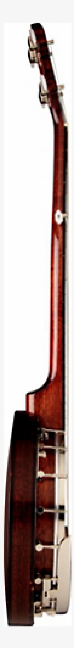 Fender Concert Tone Banjo Pack - Indian Musical Instruments