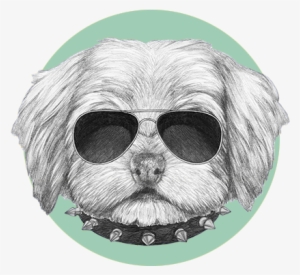 Dog Rooming Regina Badass - Dog