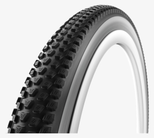 Gato - Vittoria Gato